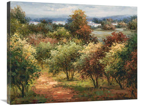 Global Gallery GCS-132573-2835-142 28 x 35 in. Sun Dappled Country Roa