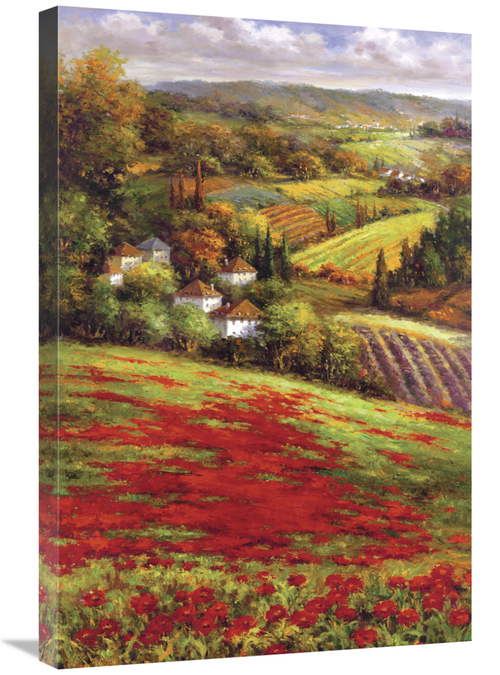 Global Gallery GCS-128429-2030-142 20 x 30 in. Valley VIew III Art Pri