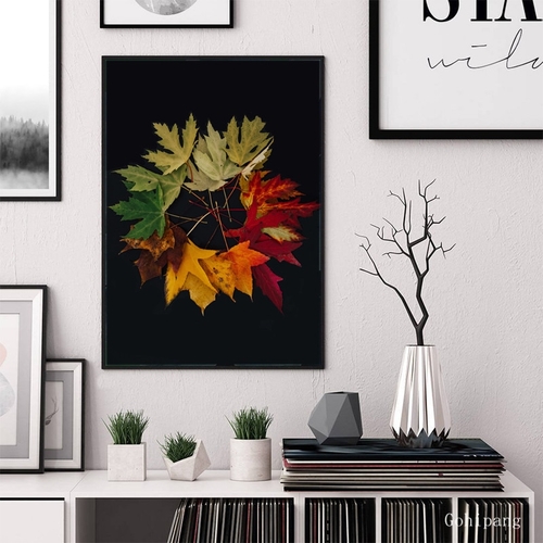 Home Decoration Modular Picture Leaf Decay Process
