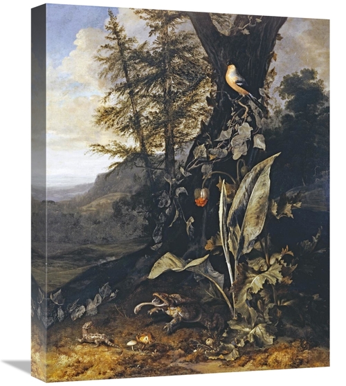 Global Gallery GCS-267578-22-142 22 in. Forest Floor with a Toad & a L