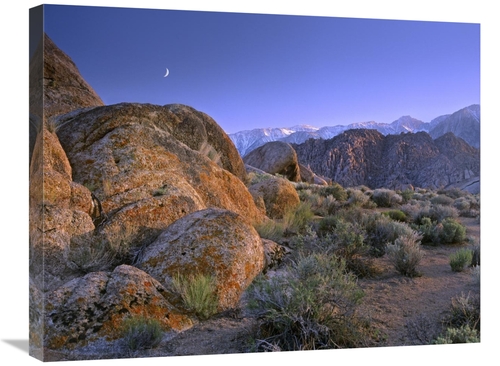 Global Gallery GCS-452163-2228-142 22 x 28 in. Crescent Moon Rising Ov
