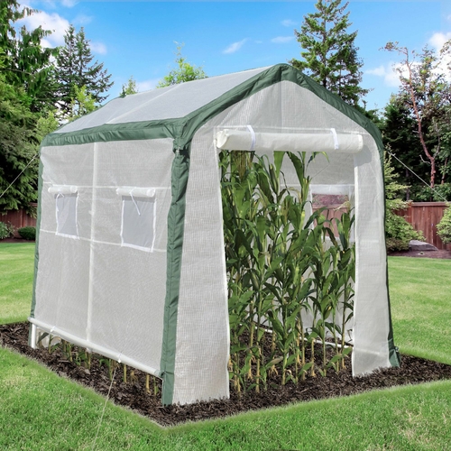 Outsunny 95'' x 71'' x 79'' Greenhouse with Roll Up Door and 4 Windows