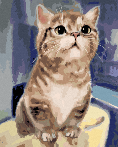 Paint by Numbers - A CURIOUS CAT