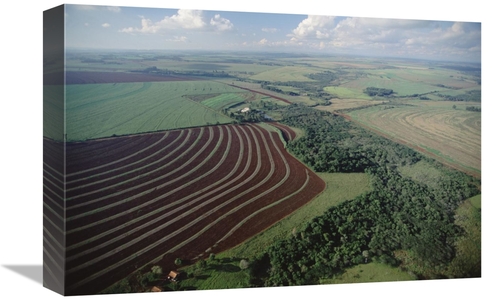 Global Gallery GCS-397691-1218-142 12 x 18 in. Farming Region with For