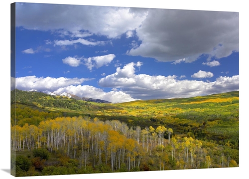 Global Gallery GCS-396154-3040-142 30 x 40 in. Gunnison National Fores
