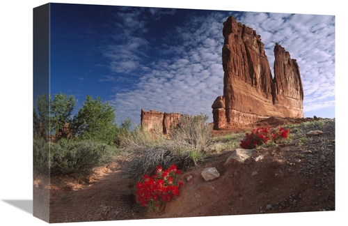 Global Gallery GCS-396479-1216-142 12 x 16 in. Paintbrush & the Organ 