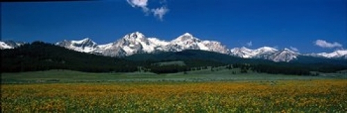 Panoramic Images PPI29408L Sawtooth Mtns Range Stanley ID USA Poster P