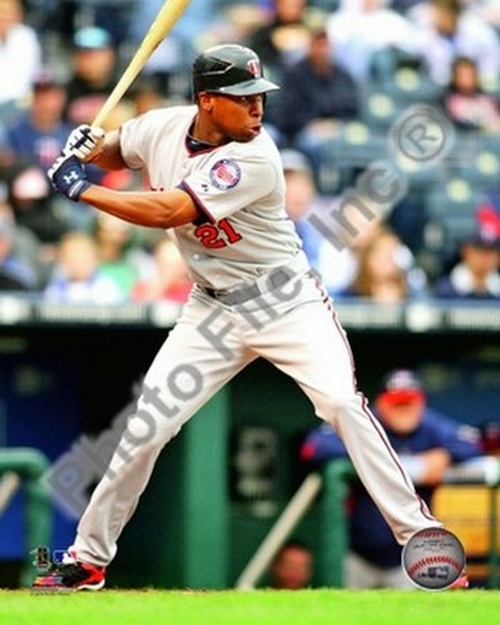 Delmon Young 2010 Action Sports Photo - 8 x 10