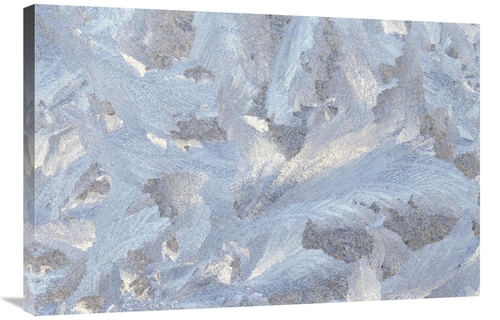 Global Gallery GCS-452845-2436-142 24 x 36 in. Frost Crystal Formation