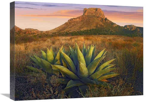 Global Gallery GCS-396858-1824-142 18 x 24 in. Casa Grande Butte with 