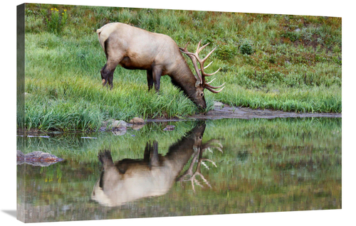 Global Gallery GCS-486494-36-142 36 in. Reflections Art Print - Vic Sc