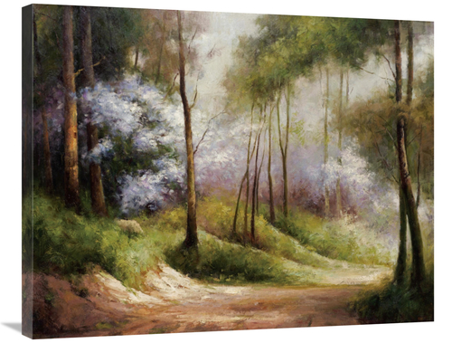 Global Gallery GCS-132487-2835-142 28 x 35 in. Fog Embraced Forest Art