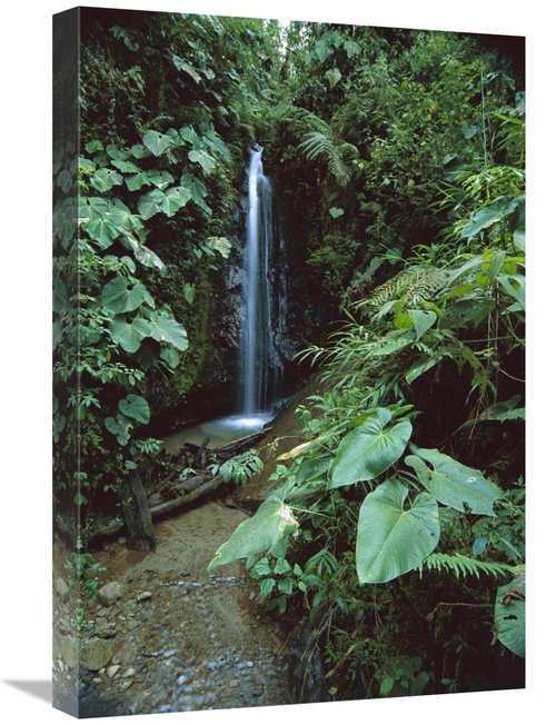 Global Gallery GCS-451644-1624-142 16 x 24 in. Andean Cloud Forest&#44