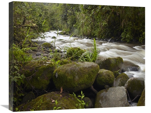 Global Gallery GCS-396289-2228-142 22 x 28 in. Mindo River Flowing Thr