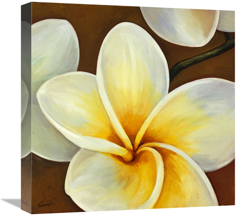 Global Gallery GCS-137414-1818-142 18 x 18 in. Frangipani II Art Print