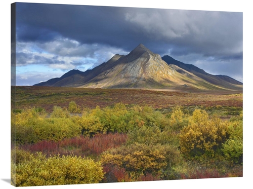 Global Gallery GCS-396552-3040-142 30 x 40 in. Ogilvie Mountains, 