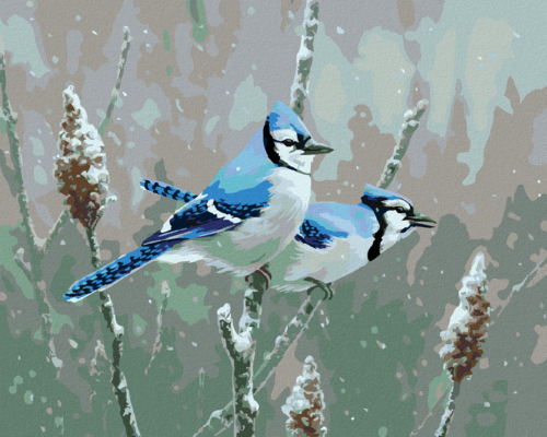 Zuty - Paint by Numbers â€“ BLUE JAY ON A SNOW-COVERED BRANCH (JAMES