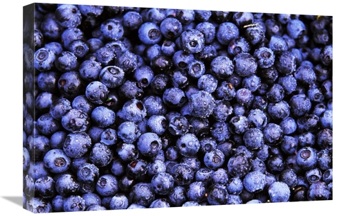Global Gallery GCS-398278-1624-142 16 x 24 in. Bilberry Close Up of Ha