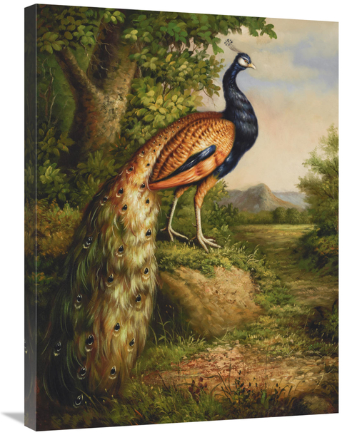 Global Gallery GCS-132590-2432-142 24 x 32 in. Classic Peacock Art Pri