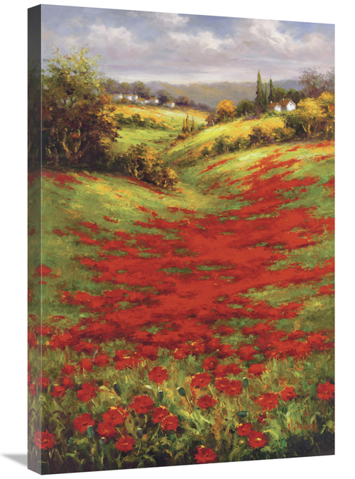 Global Gallery GCS-128428-2030-142 20 x 30 in. Valley VIew II Art Prin