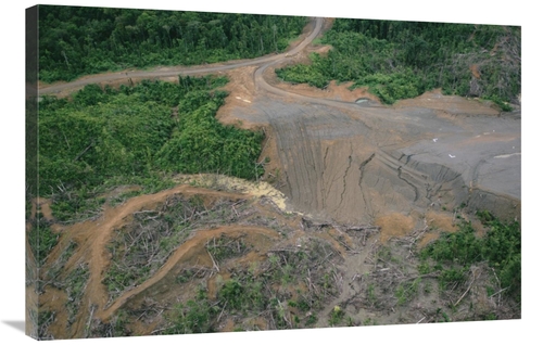 Global Gallery GCS-395781-2436-142 24 x 36 in. Rainforest Logging Acti
