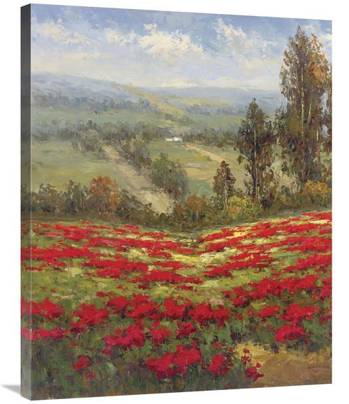 Global Gallery GCS-128434-2835-142 28 x 35 in. Poppy Vista II Art Prin