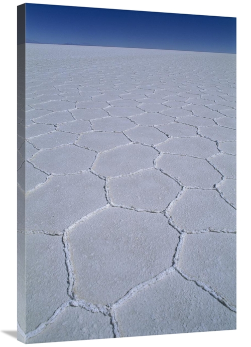 Global Gallery GCS-453528-2436-142 24 x 36 in. Hexagonal Crystallizati