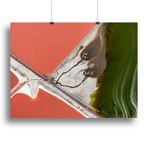 Nature's Painting Canvas Print or Poster