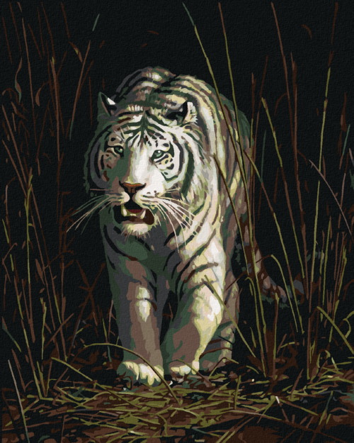 Zuty - Paint by Numbers – WHITE TIGER IN THE GRASS (JAMES HAUTMAN),