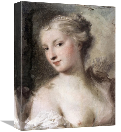 Global Gallery GCS-276984-16-142 16 in. Diana Art Print - Rosalba Carr