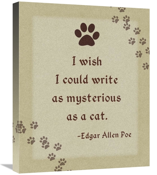 Global Gallery GCS-398808-2024-142 20 x 24 in. Edgar Allen Poe - Myste