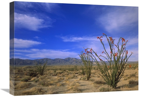 Global Gallery GCS-396991-1824-142 18 x 24 in. Ocotillo & the Vallecit