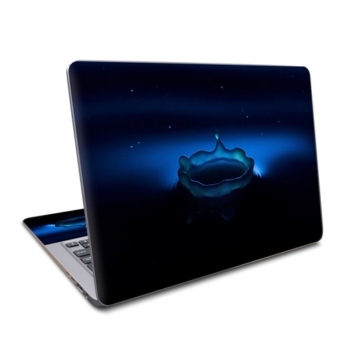 DecalGirl AZB3-WATERHOLE Asus Zenbook 13.3 Skin - Water Hole