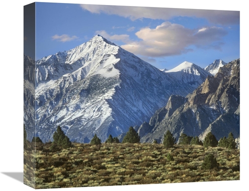 Global Gallery GCS-396983-16-142 16 in. Mount Tom, Sierra Nevada&#