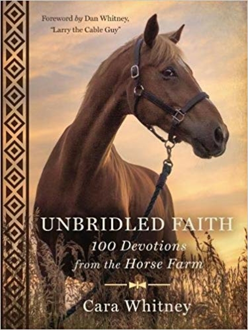 Nelson & Nelson Books 172211 Unbridled Faith by Whitney Cara