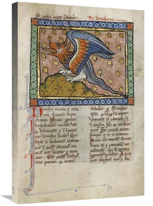 Global Gallery GCS-454755-2030-142 20 x 30 in. A Dragon Art Print - Fr