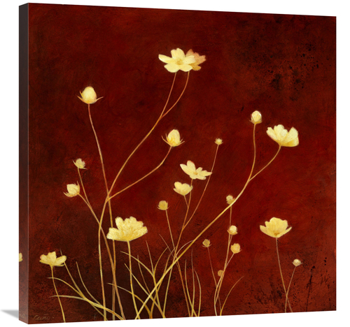 Global Gallery GCS-137415-3030-142 30 x 30 in. Flores En El Campo I Ar
