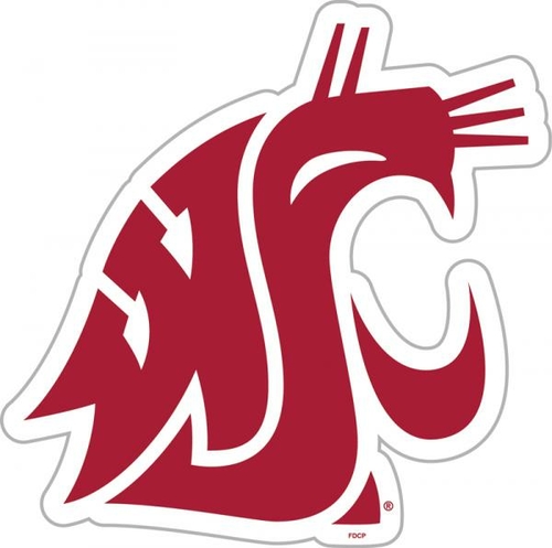 Fremont Die 58771 12&apos;&apos; Vinyl Magnet  - Washington St