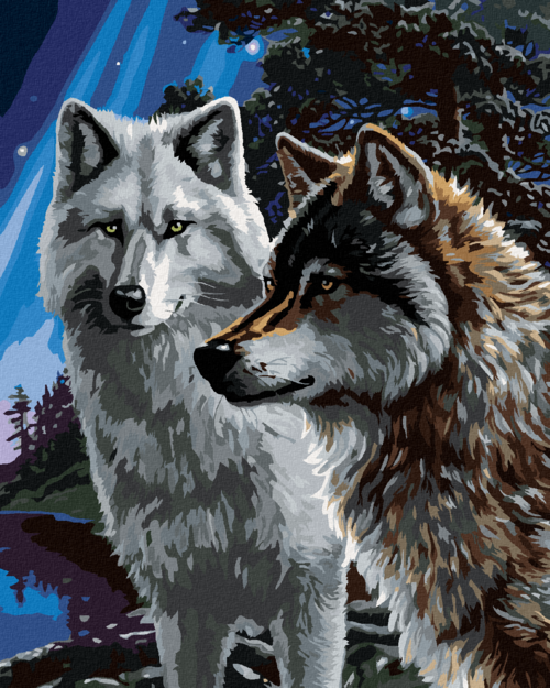 Zuty - Paint by Numbers - WHITE AND BROWN WOLVES AT NIGHT (JAMES