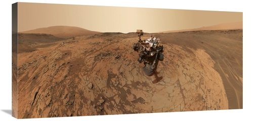 Global Gallery GCS-459305-1836-142 18 x 36 in. Curiosity Self-Portrait