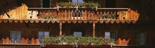 Panoramic Images PPI93932L Close-up of potted plants on balcony railin