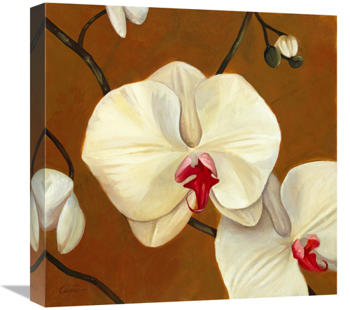 Global Gallery GCS-137411-1818-142 18 x 18 in. Orquideas Blancas I Art