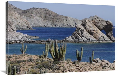 Global Gallery GCS-397721-2436-142 24 x 36 in. Cardon Cacti, Santa