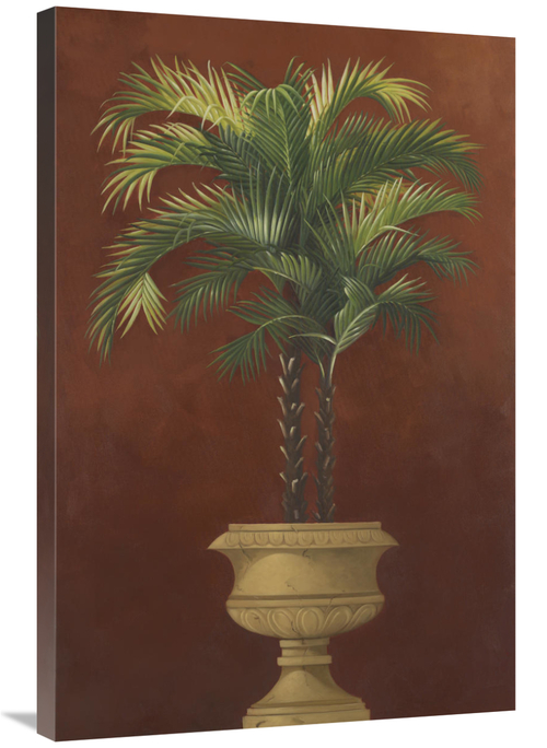 Global Gallery GCS-127139-2436-142 24 x 36 in. Potted Palm Red IV Art 