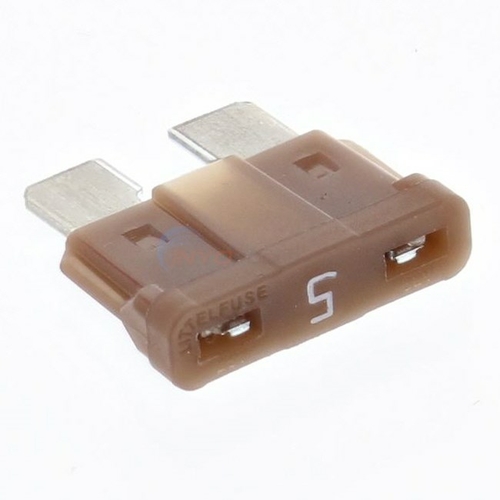 Raypak 013733F Digital Fuse, 5A