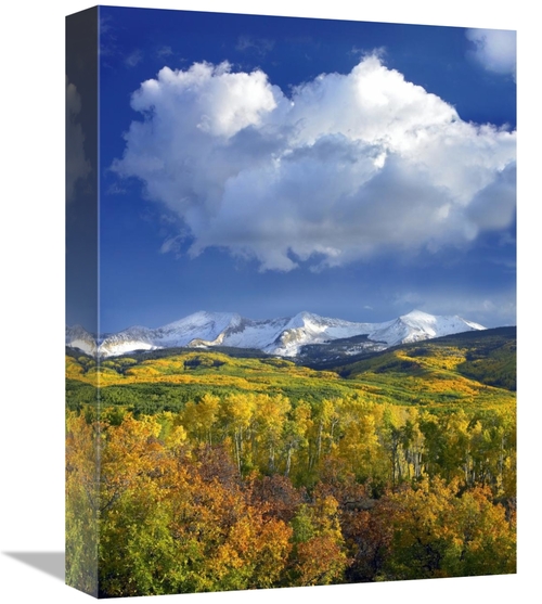 Global Gallery GCS-397098-1216-142 12 x 16 in. East Beckwith Mountain 