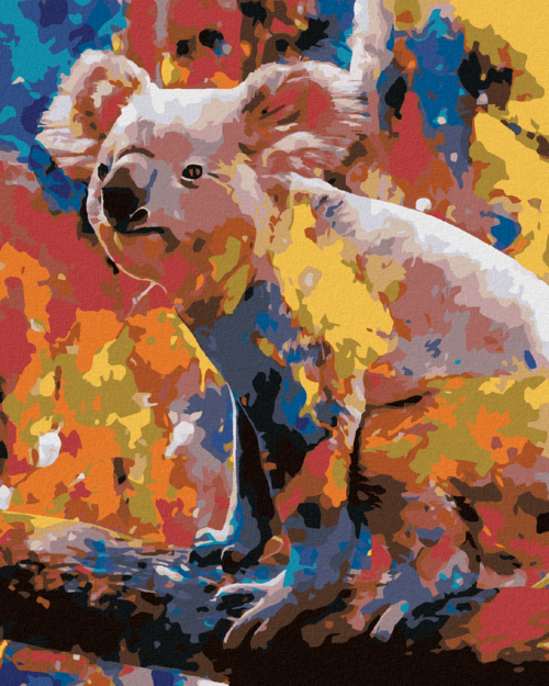 Paint by Numbers - COLOURFUL KOALA