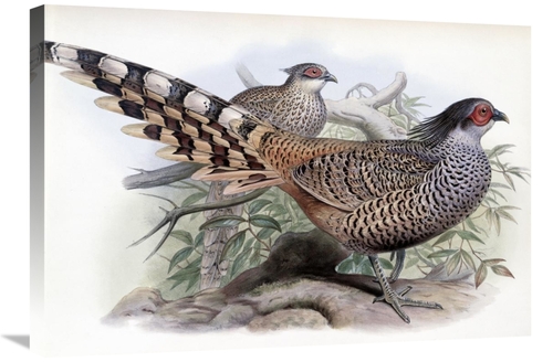 Global Gallery GCS-277750-30-142 30 in. Cheer Art Print - John Gould