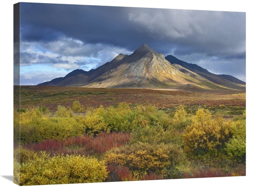 Global Gallery GCS-396552-2432-142 24 x 32 in. Ogilvie Mountains, 