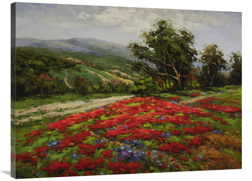 Global Gallery GCS-132576-3040-142 30 x 40 in. Meadow of Wildflower Ar